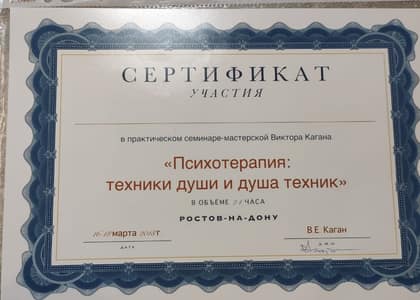 Семинар В.Е. Кагана