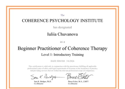 Когерентная терапия, Level 1